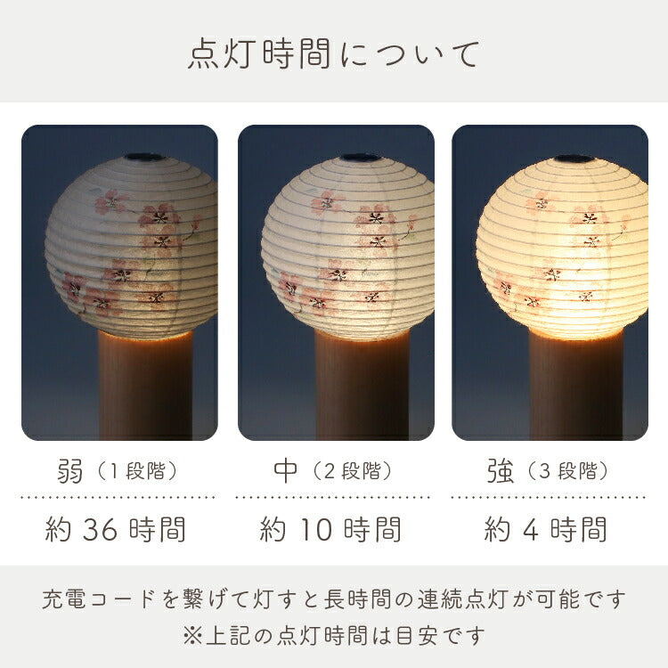 盆提灯・盆ちょうちん 『 tocco 桜 盆提灯 』