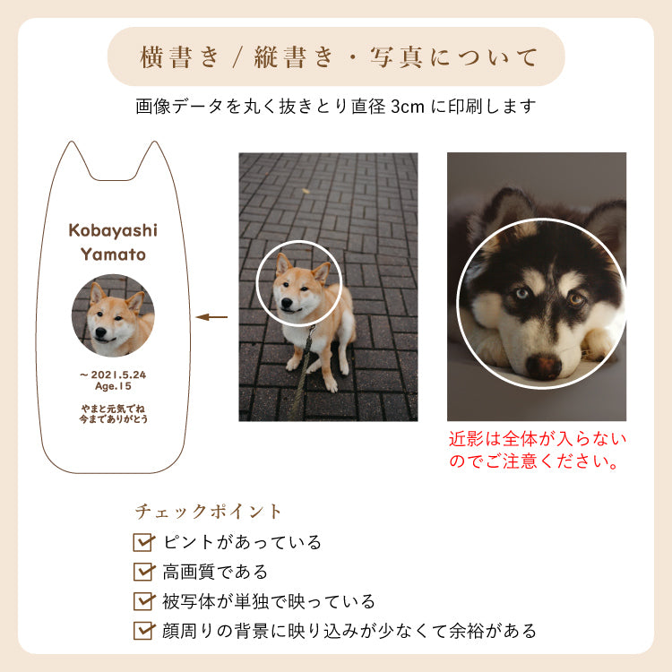 位牌 『 ピコ ワンチョA 』