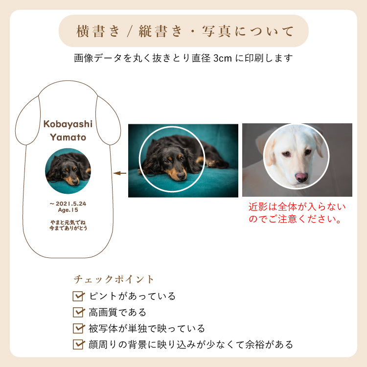 位牌 『 ピコ ワンチョB 』
