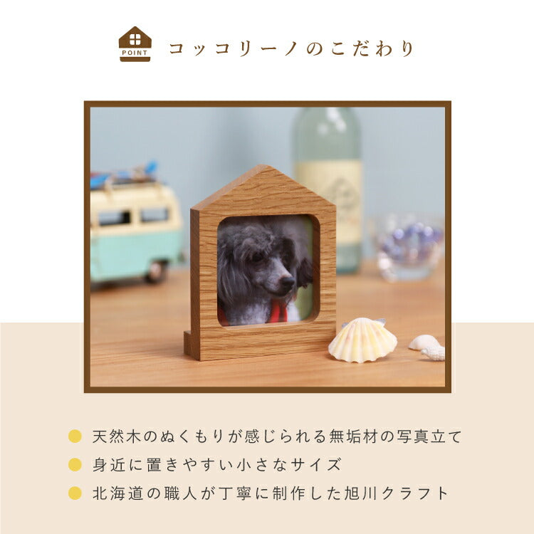写真立 『 カーザ ライト 』
