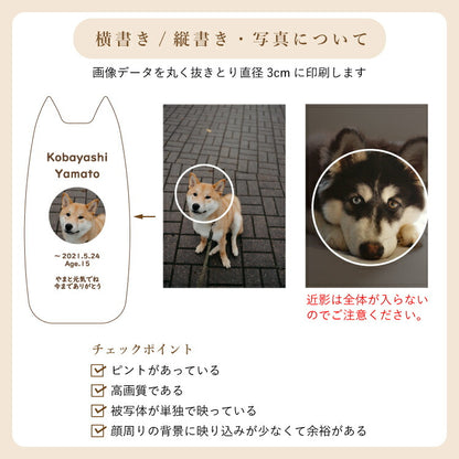 ペット位牌 『 ピコ ワンチョA 』
