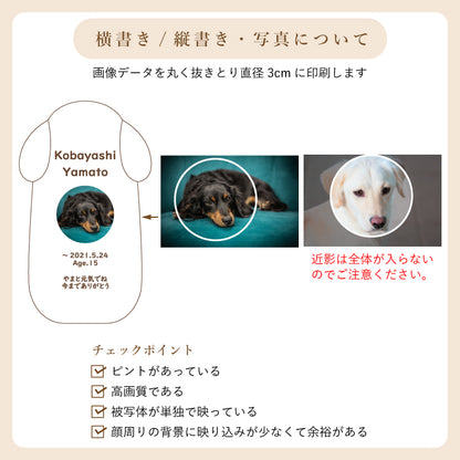 位牌 『 ピコ ワンチョB 』