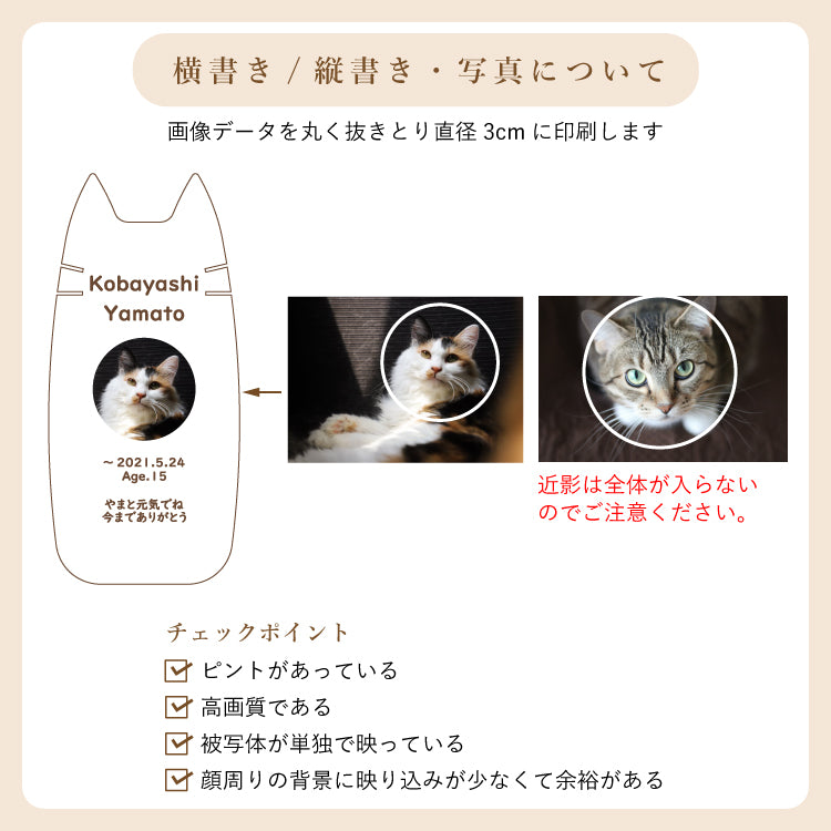 位牌 『 ピコ ミーチョ 』