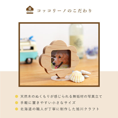 写真立 『 テンポ 』