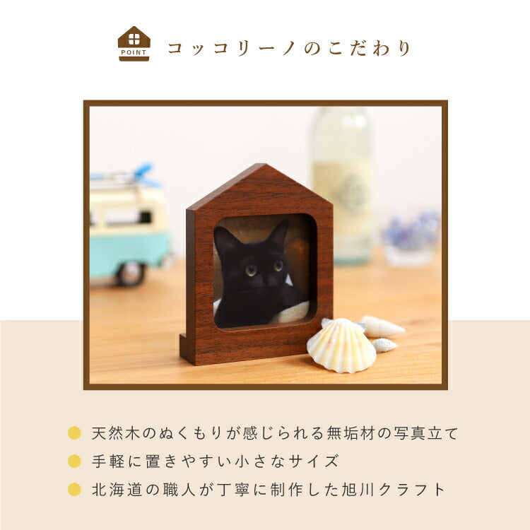 写真立 『 カーザ ダーク 』